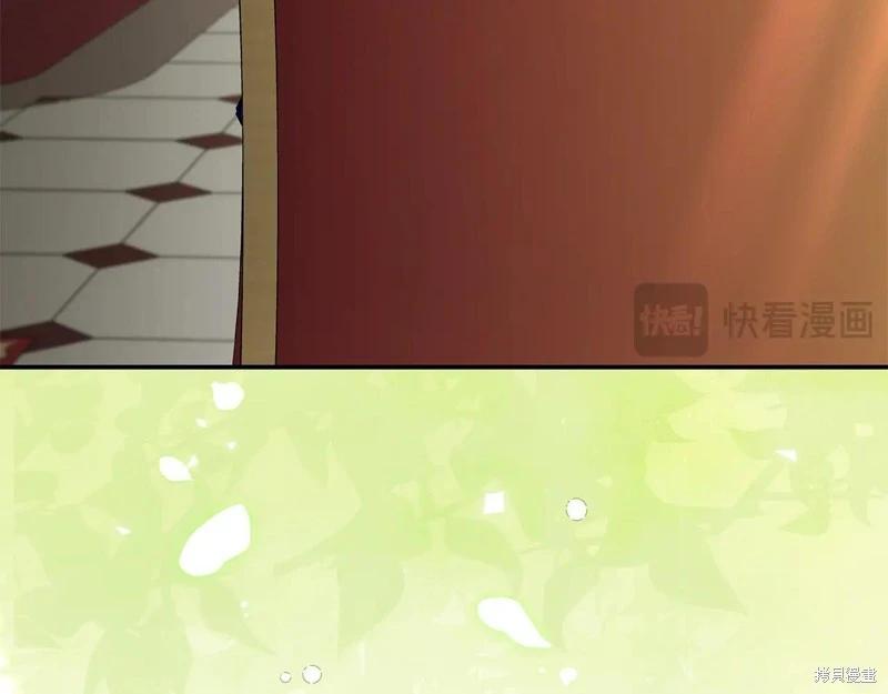 第 113 页
