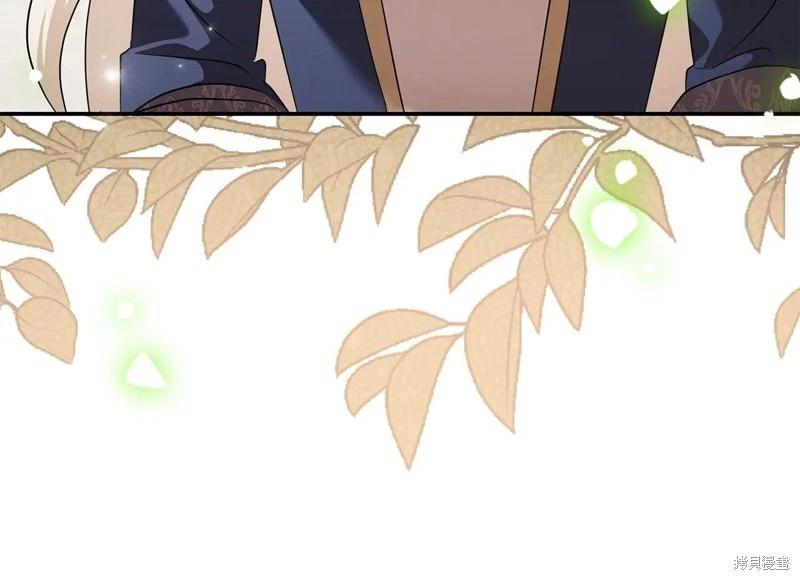 第 196 页