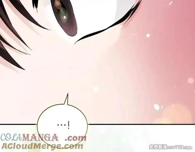 第 113 页