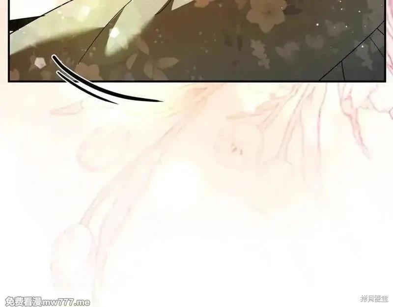第 164 页