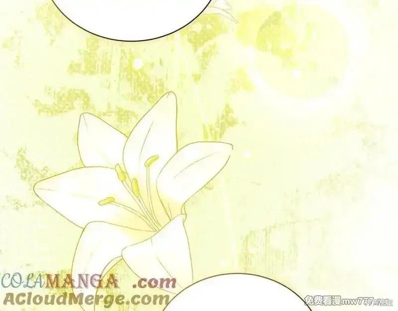 第 97 页