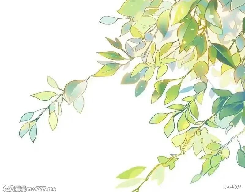 第 155 页