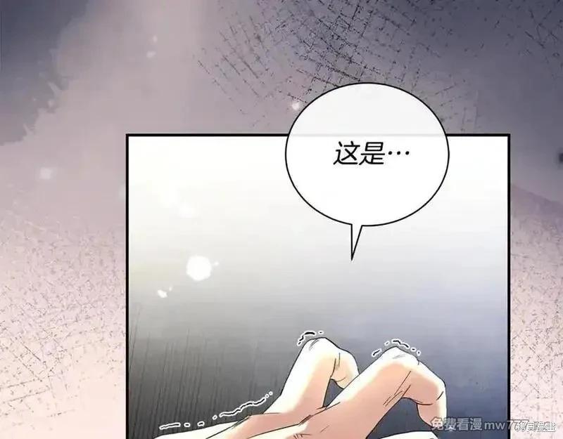 第 104 页