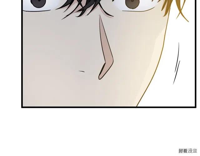 第 113 页