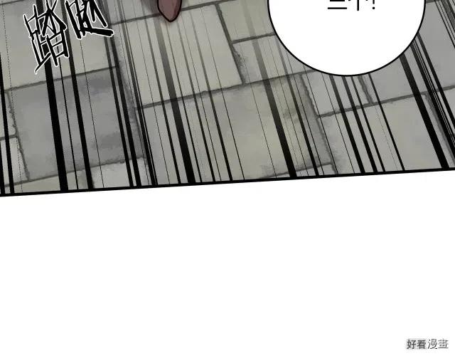 第 224 页