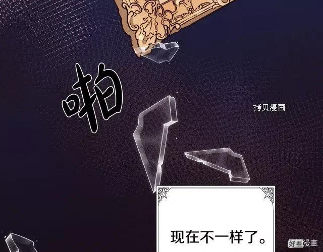 第 113 页