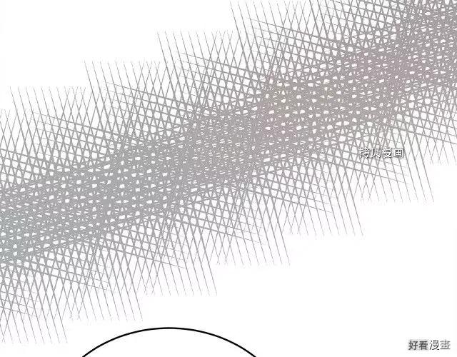 第 215 页