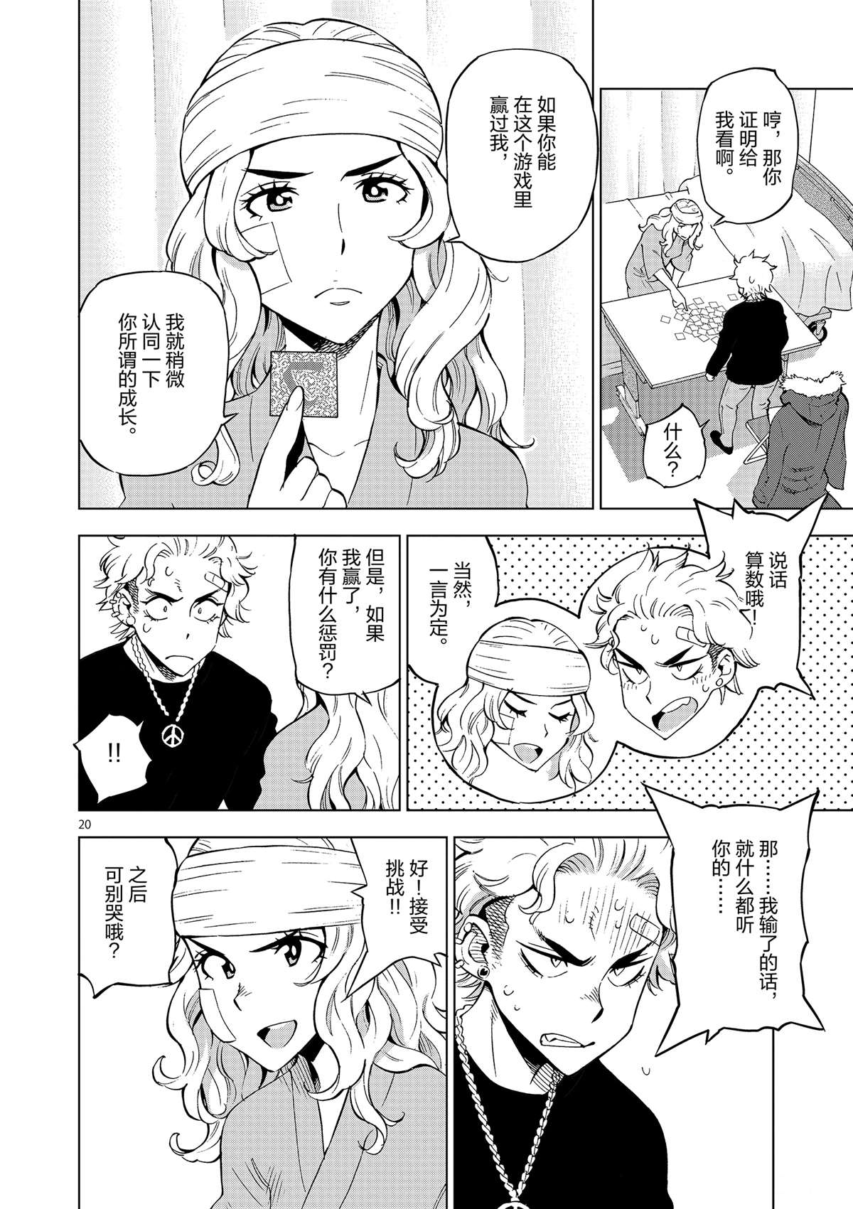 第 20 页