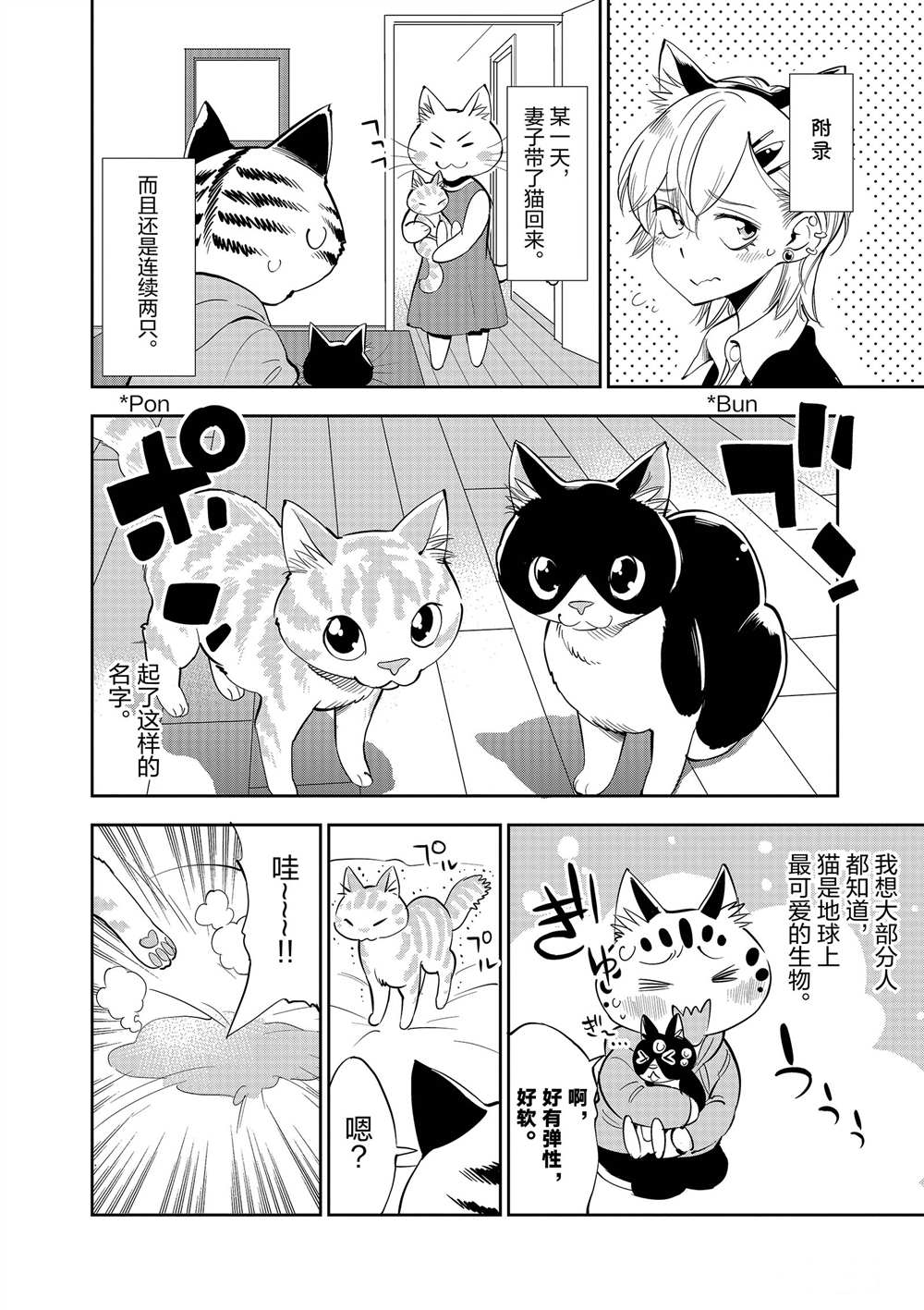 第 38 页