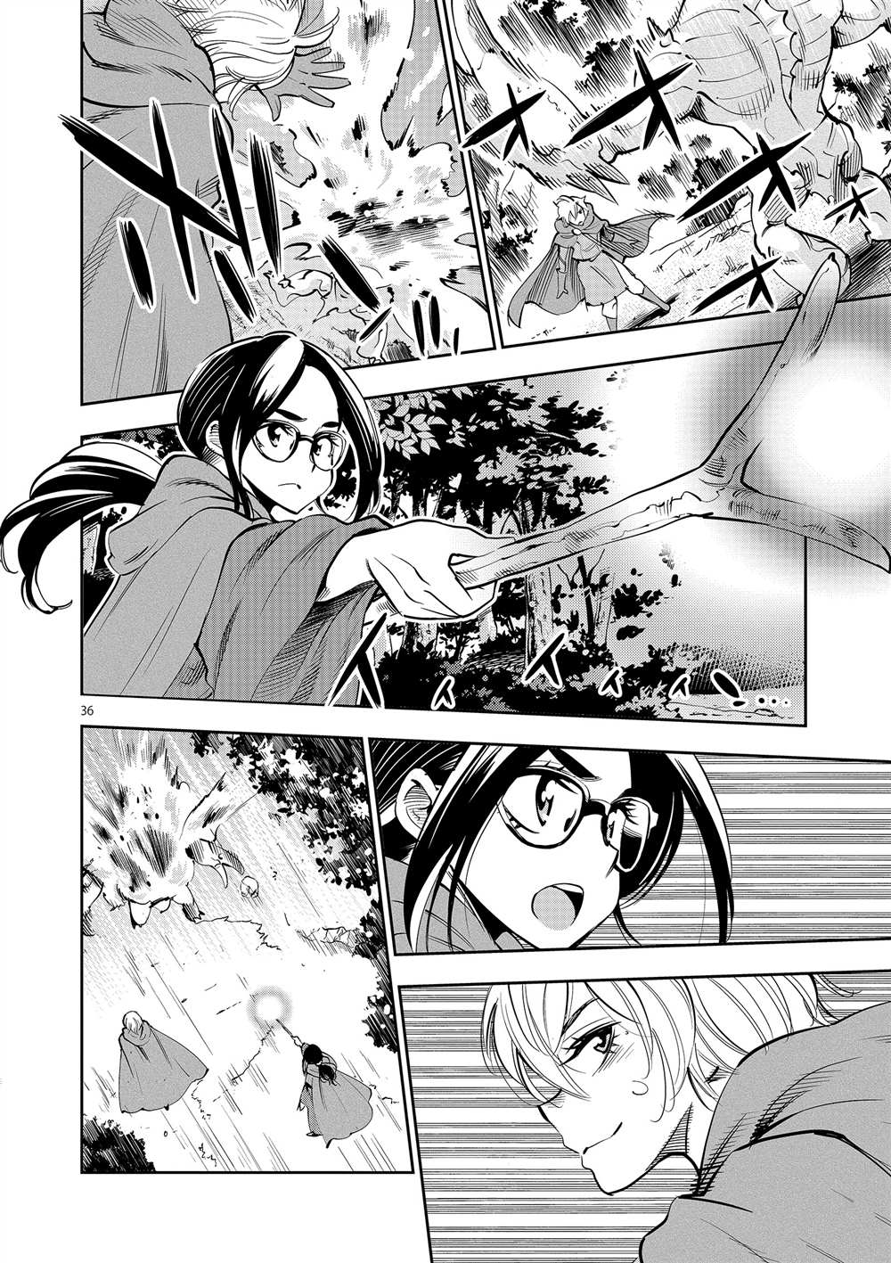 第 36 页