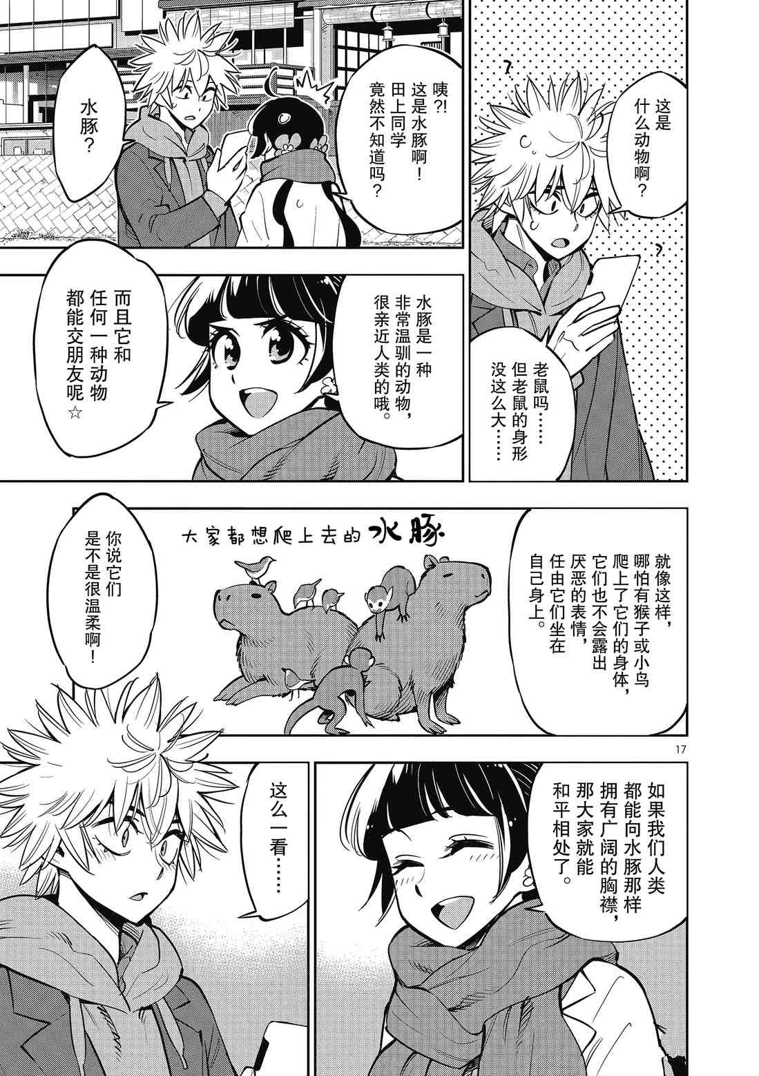 第 17 页