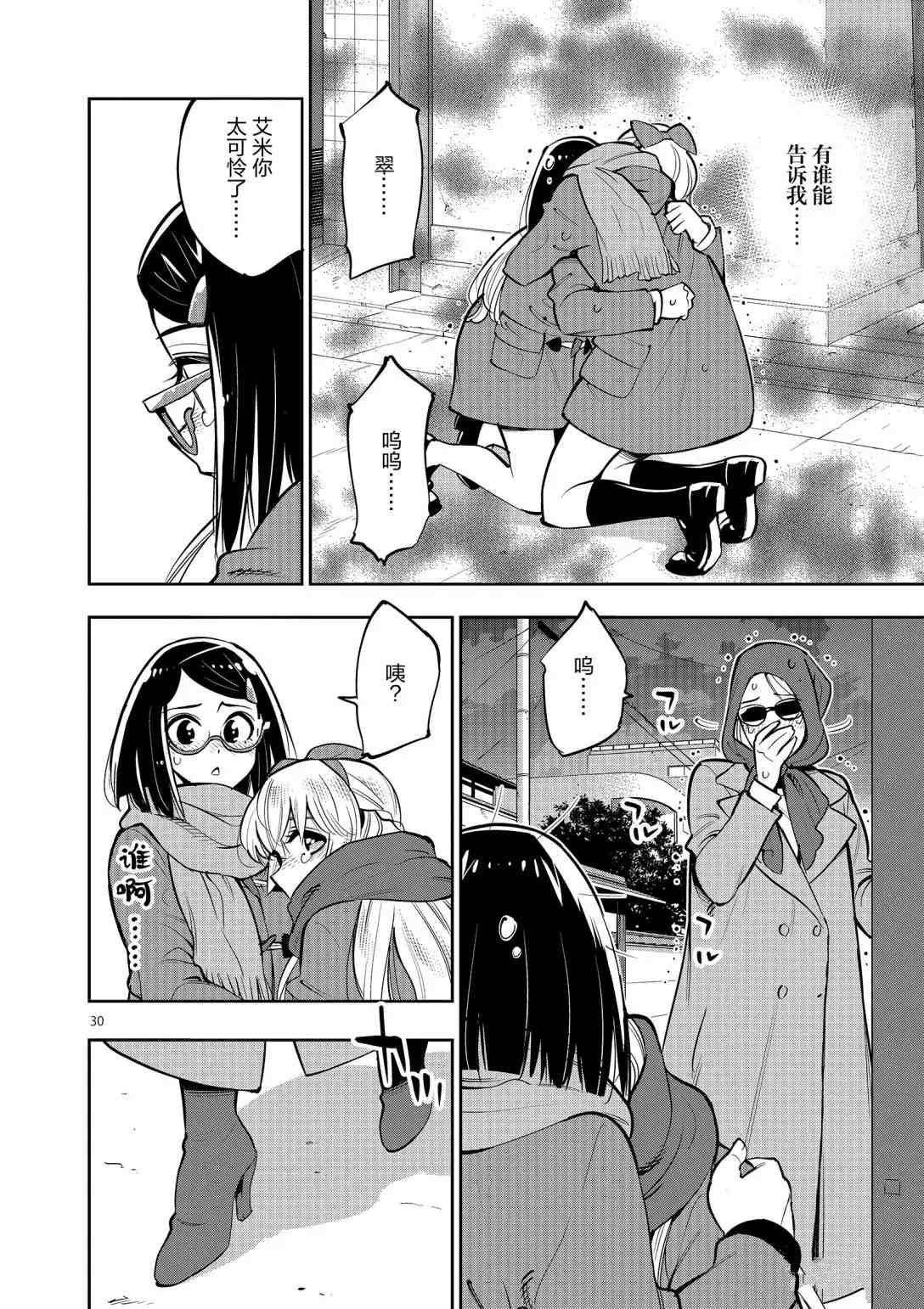 第 30 页