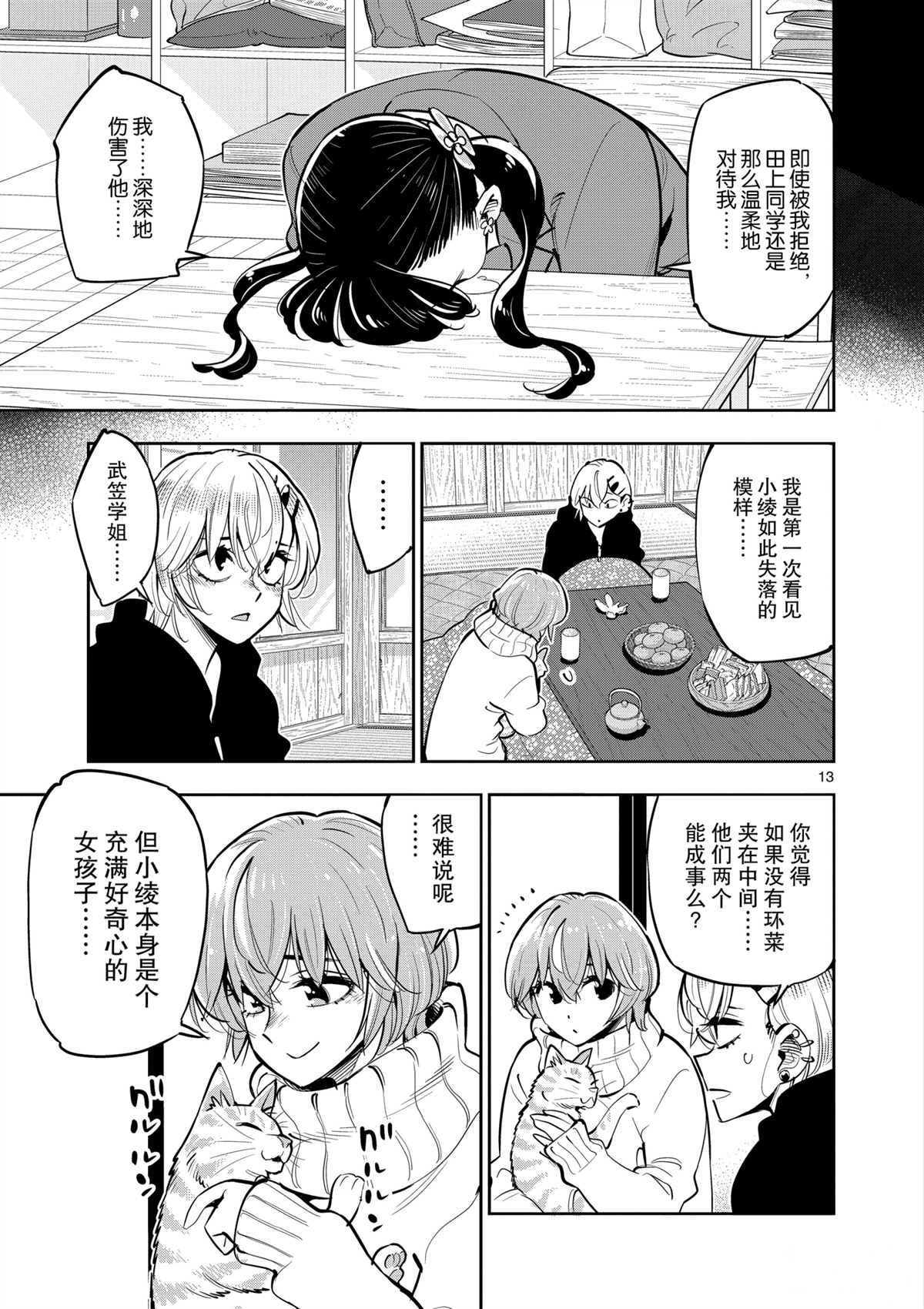 第 13 页