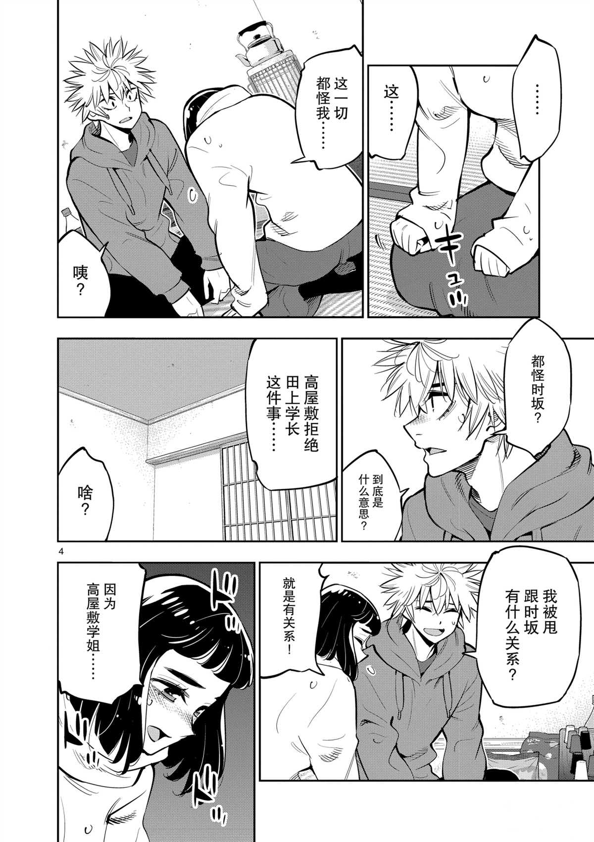 第 4 页