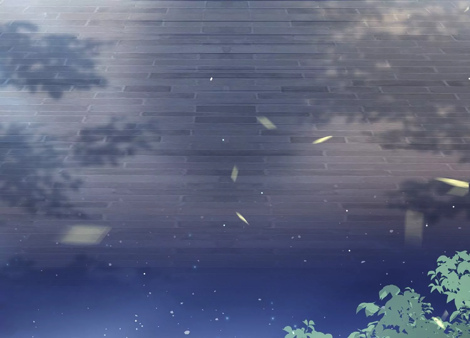 第 63 页