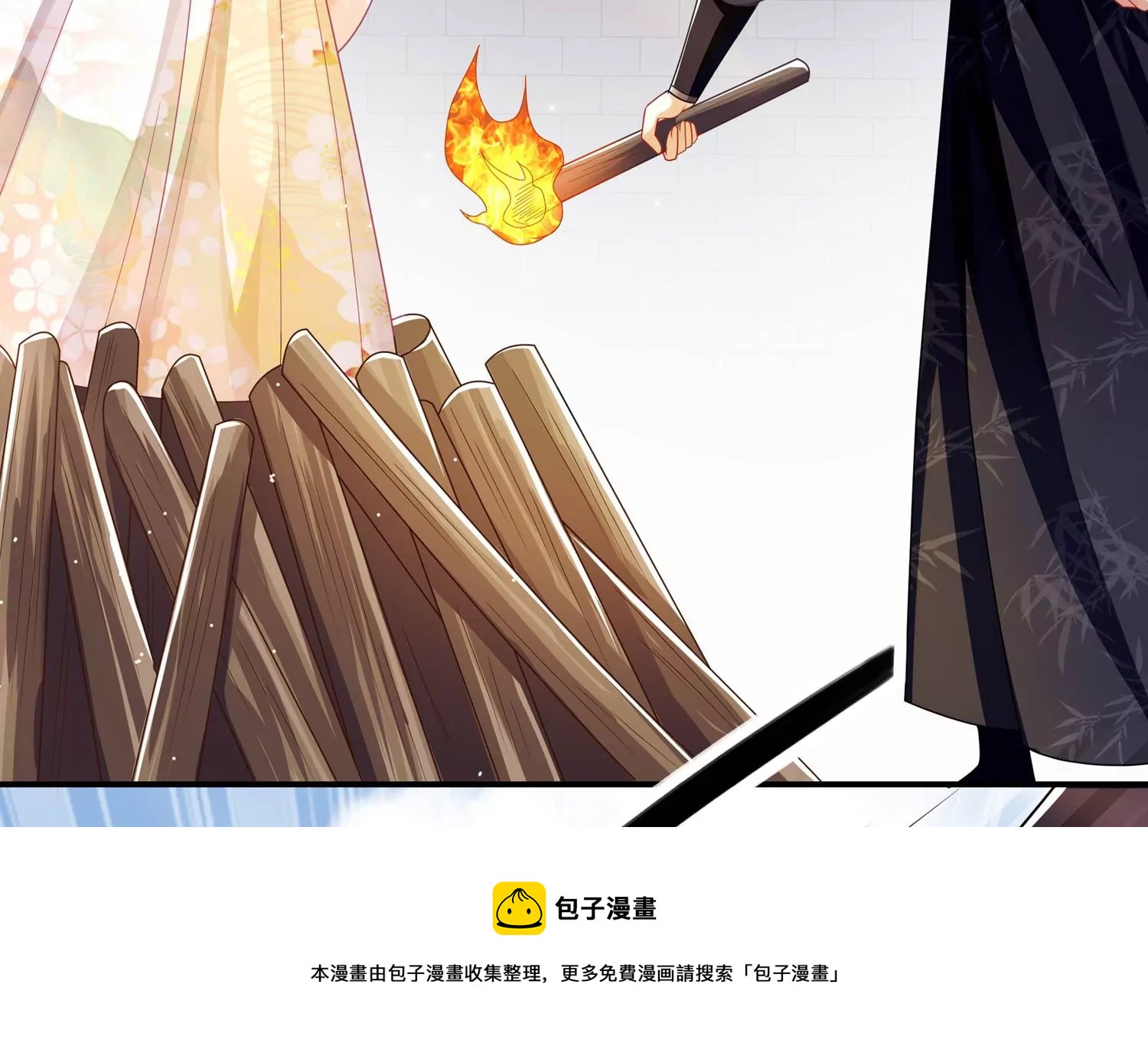 第 61 页