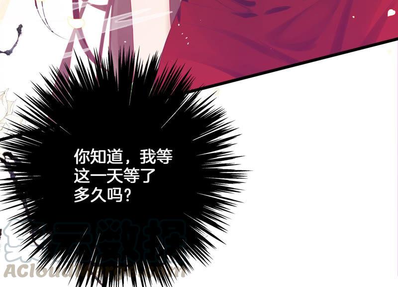 第 113 页