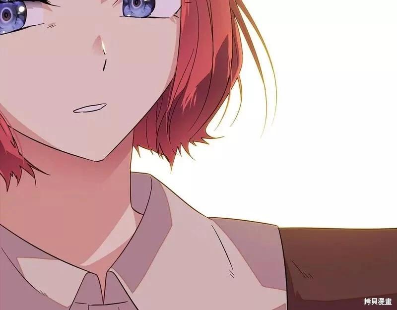 第 146 页