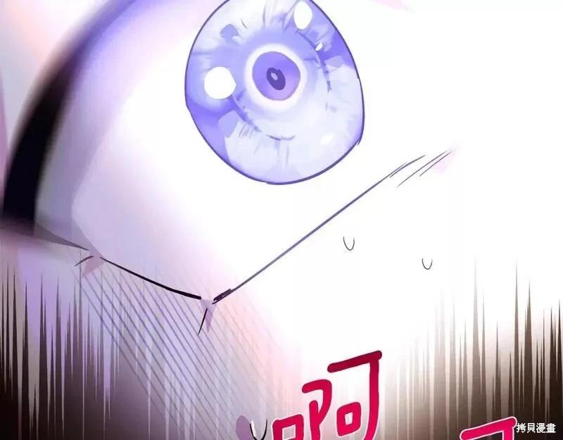 第 113 页