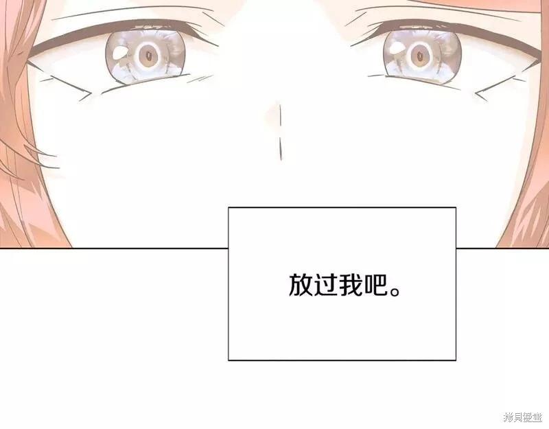 第 146 页