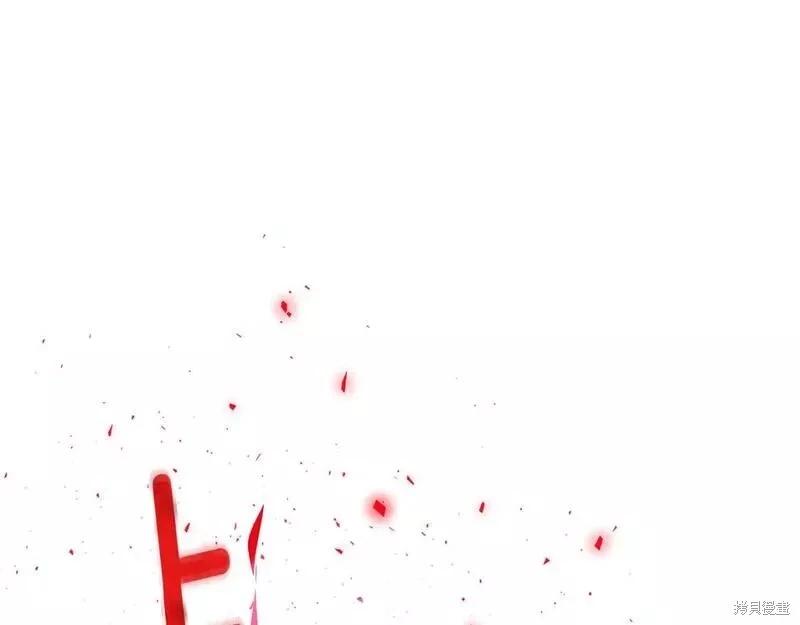第 217 页