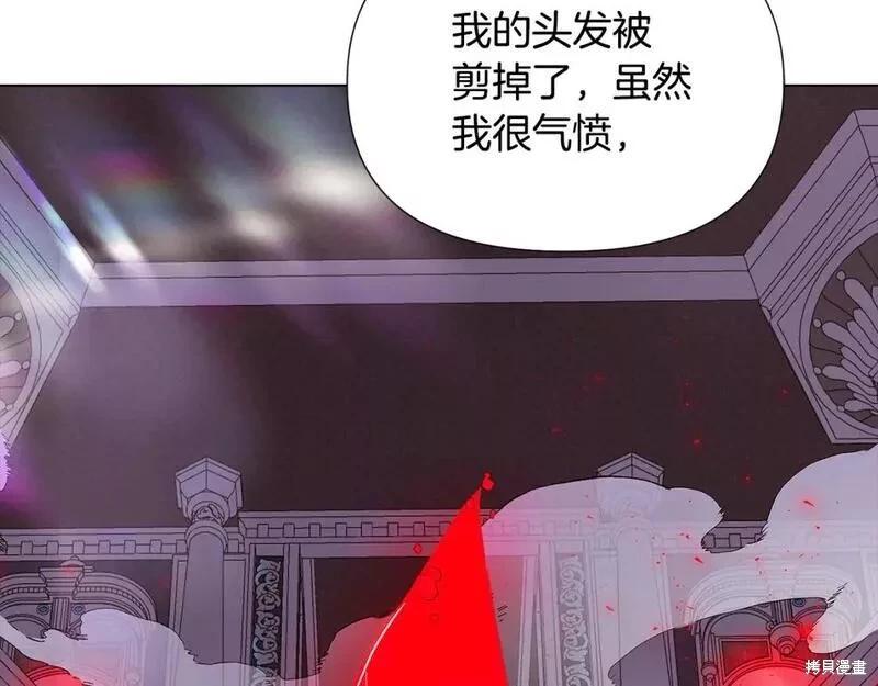 第 116 页