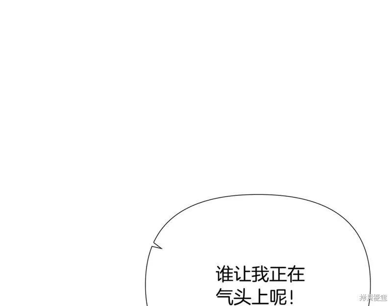 第 204 页
