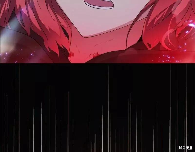 第 216 页
