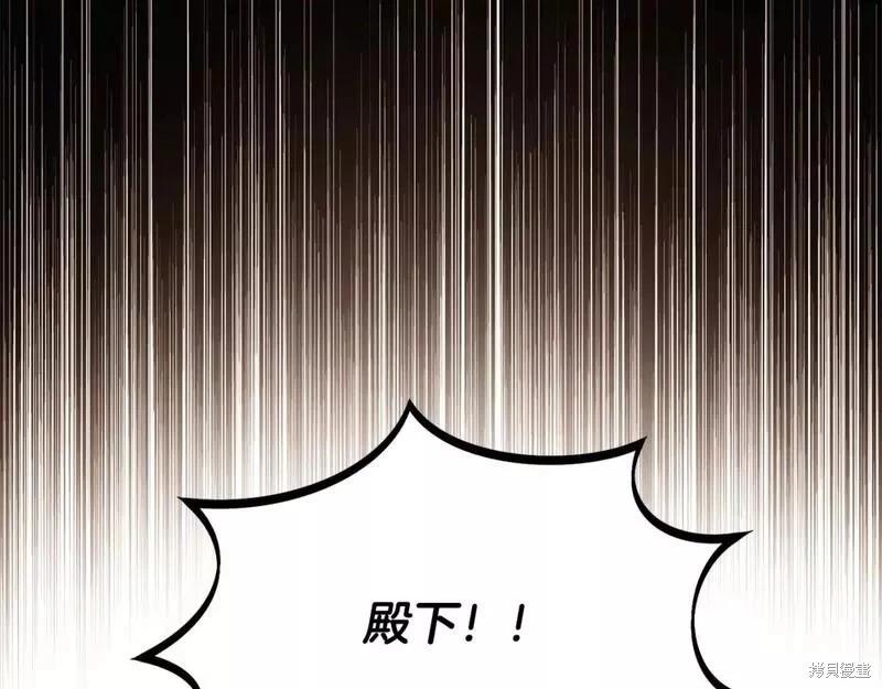 第 217 页