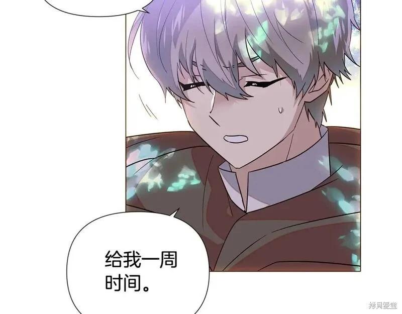 第 97 页