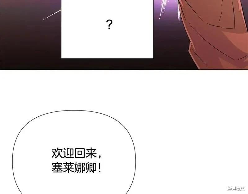 第 113 页