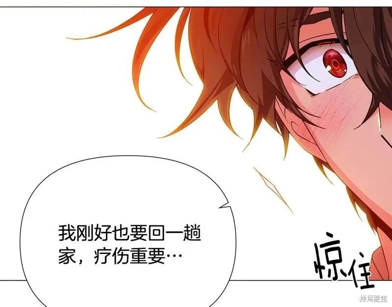 第 137 页