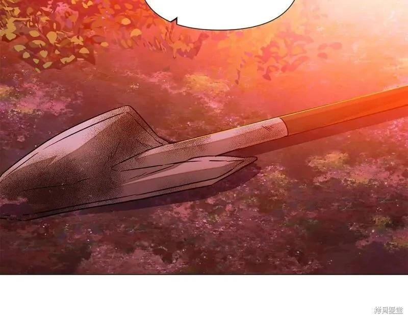 第 151 页