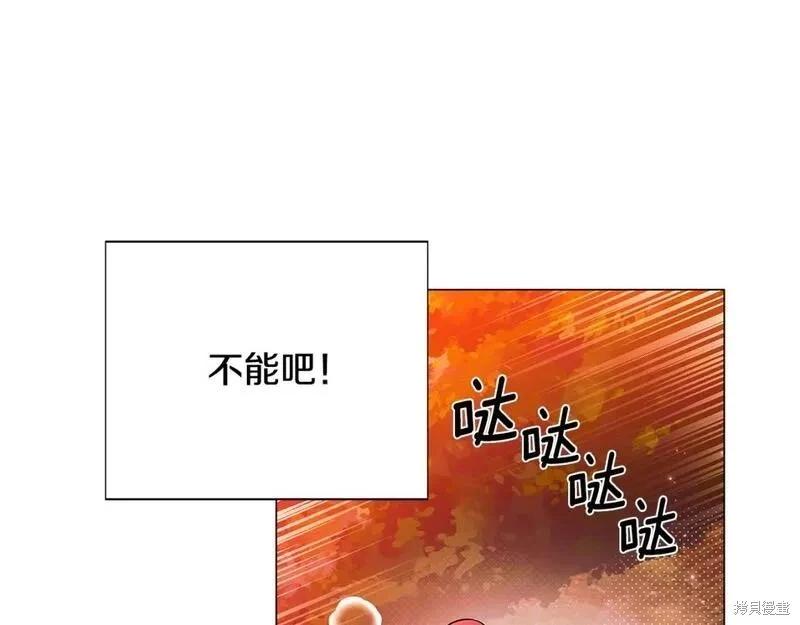 第 96 页