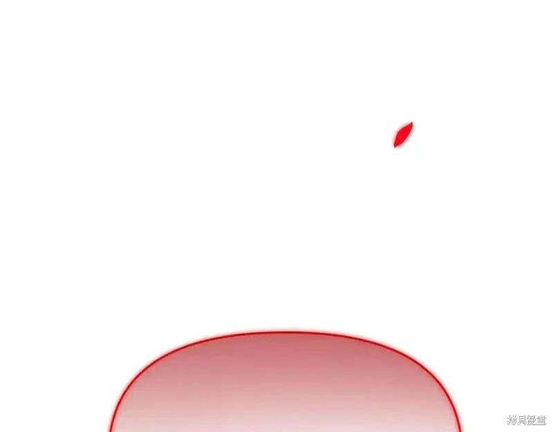 第 162 页