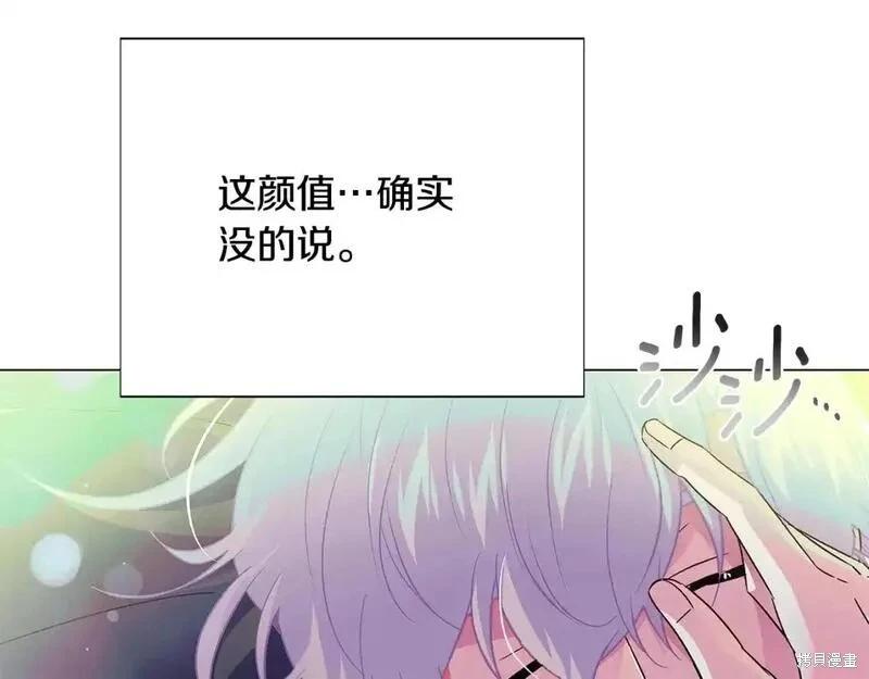 第 146 页