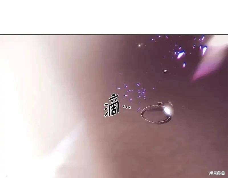 第 111 页