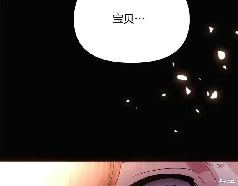 第 106 页