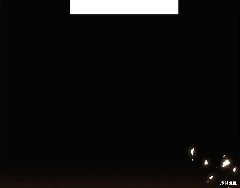 第 146 页