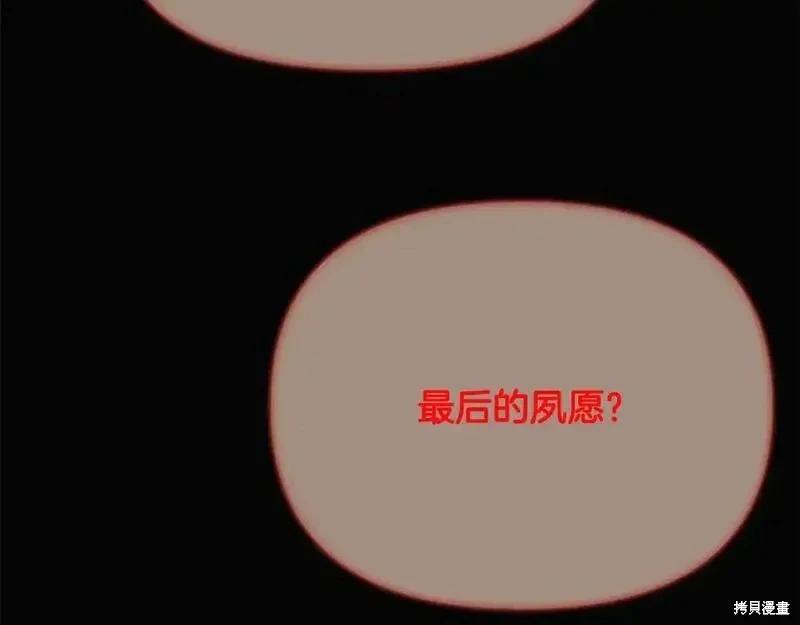 第 146 页