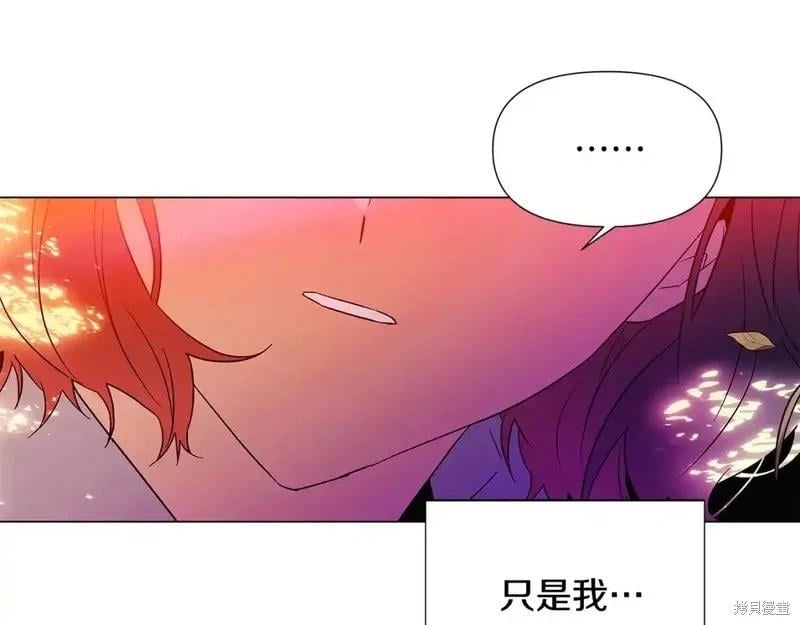第 113 页