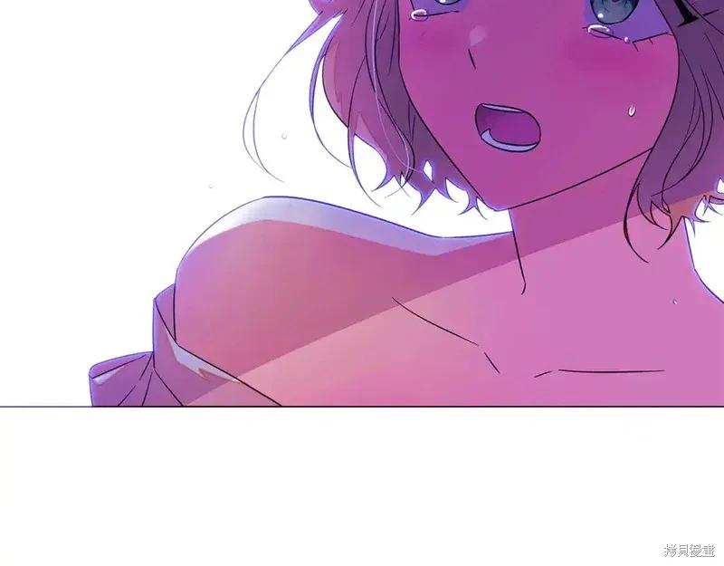 第 97 页
