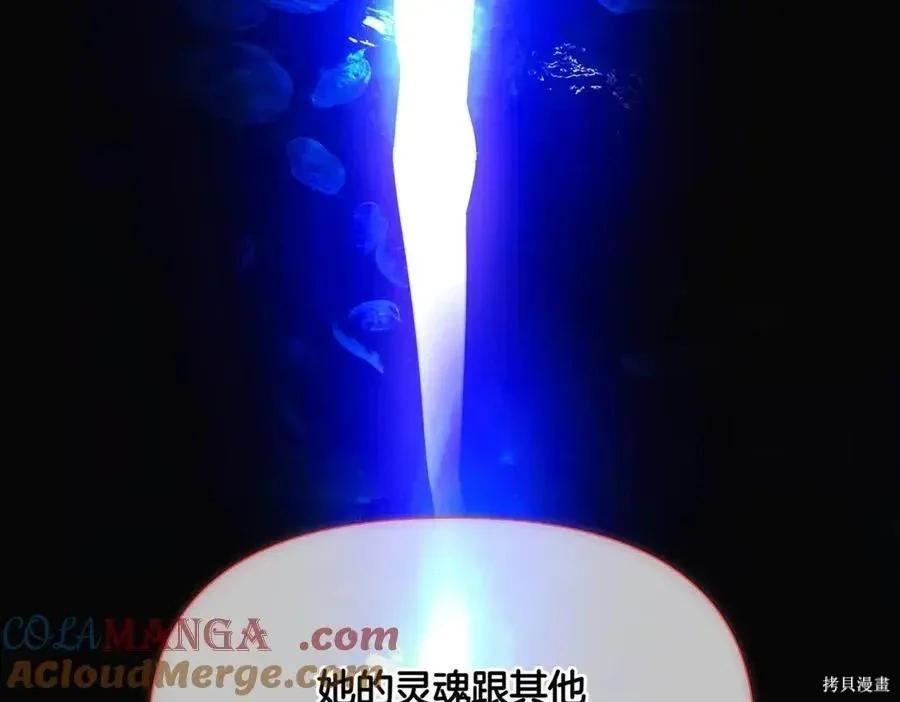 第 146 页