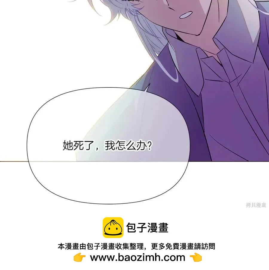 第 100 页