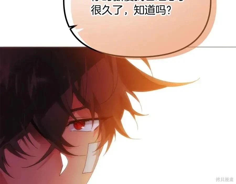 第 121 页