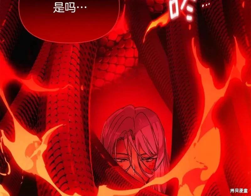 第 118 页