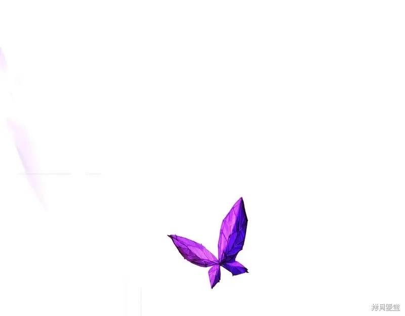 第 126 页