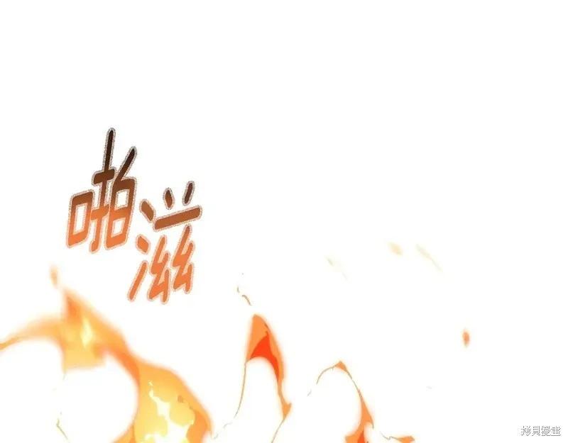 第 146 页