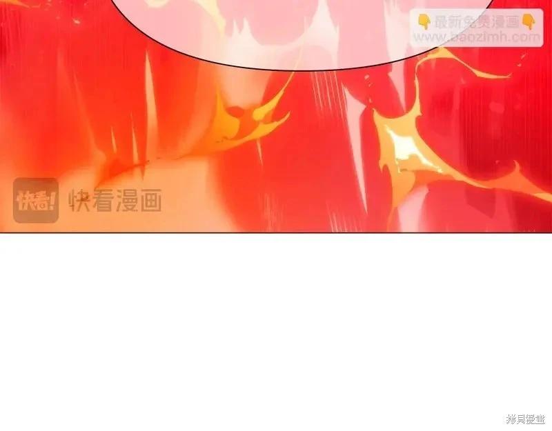 第 113 页