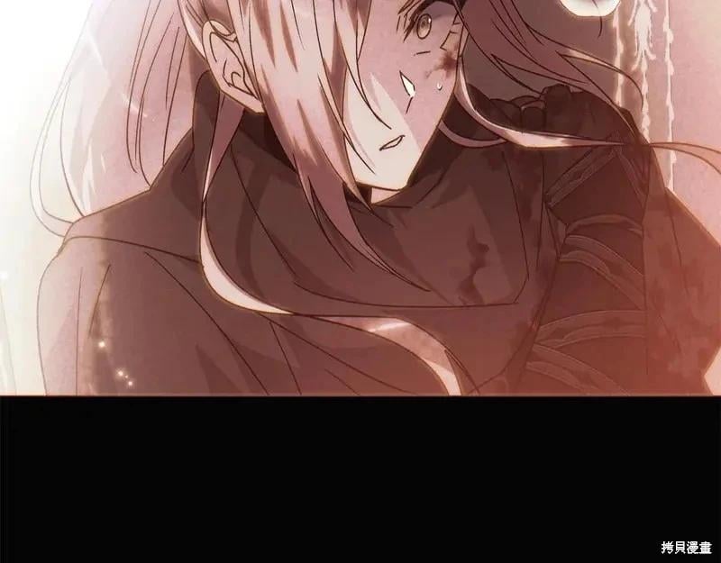 第 102 页